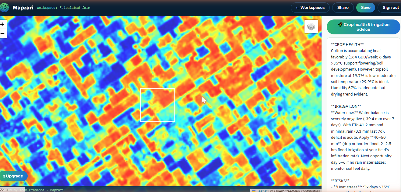 Mapzari live: Sentinel-2 NDVI map with the AI agronomist returning crop-health and irrigation advice for a drawn cotton field near Faisalabad